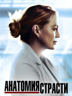 Анатомия страсти 22 сезон